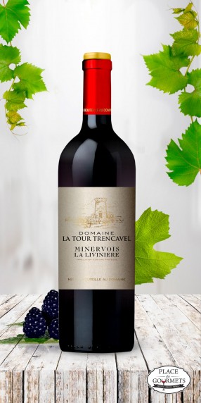 Domaine Tour Trencavel 2015 , vin rouge Minervois la Livinère